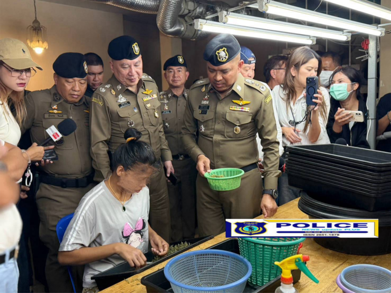 ((POLICE NEWS update PLUS))…”“พล.ต.ท.นพศิลป์” บุกจับ “ต่างด้าว” ลักลอบกัญชากระจายส่งในพื้นที่กรุงเทพ กว่า 5 ตันภายในบ้านหรูย่าน คู้บอน 27 เบื้องต้นตำรวจเร่งขยายผลเเหล่งที่มา”